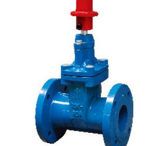 DUCTILE IRON 10K FLANGED RESILIENT SEATED GATE VALVE